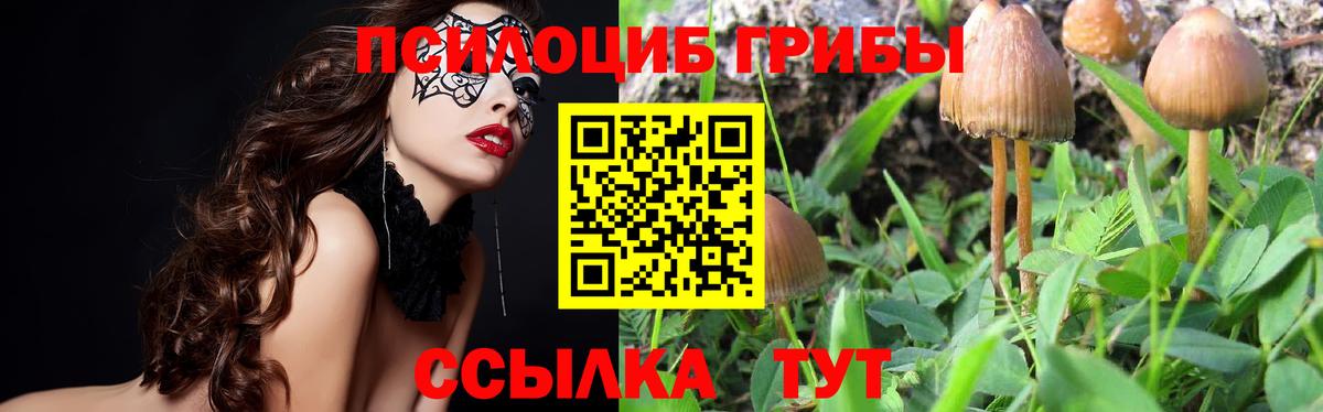 Галлюциногенные грибы Cubensis  Вход с VPN  Уссурийск 